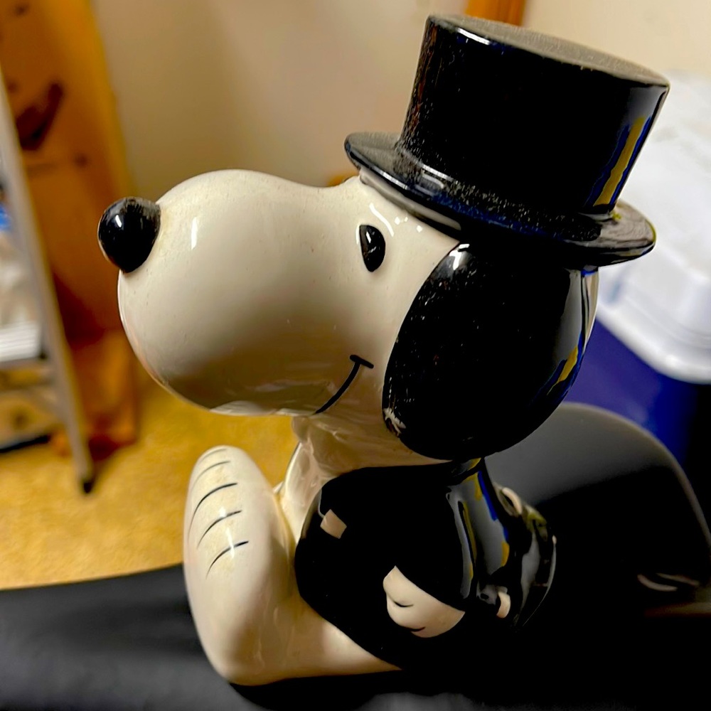 Adorable Peanuts snoopy